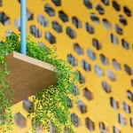 Capri By Fraser Berlin